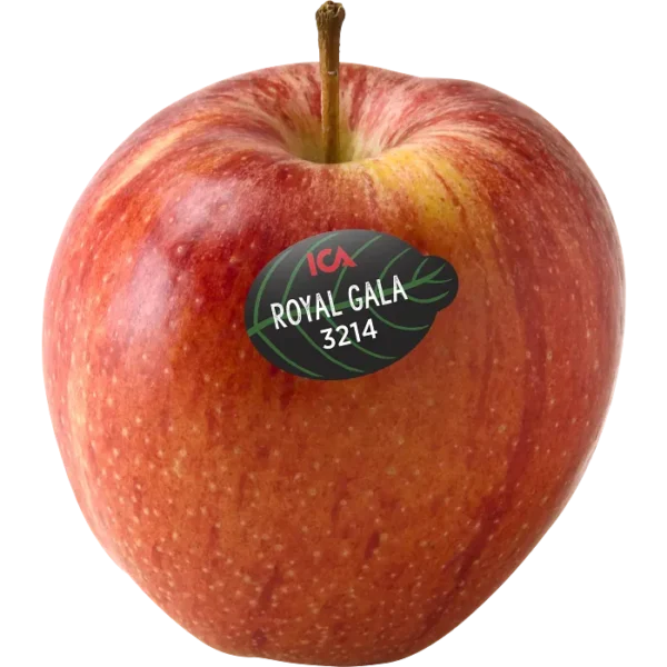 Äpple R Gala Styck